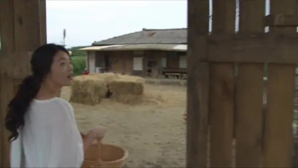 韓國女孩夏日農場午後：超寫實家庭錄影