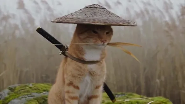 雾泽猫武士：橘猫草帽持刀立于日本湿地