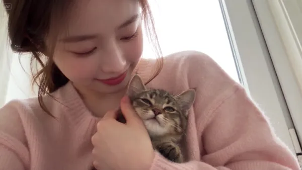 品牌视觉短片：女子与一只虎斑小猫始终同框的温柔画面