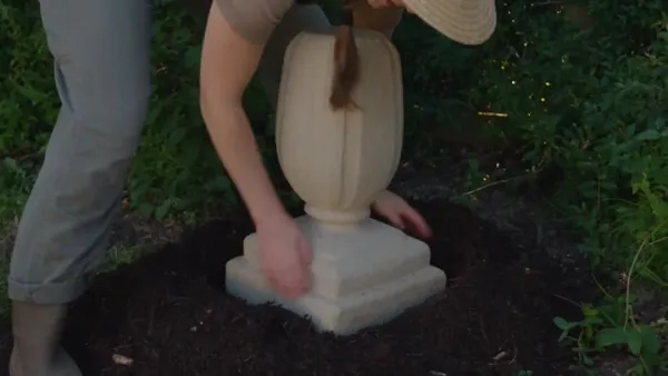 Mini DV Self-Filmed Footage of a Morning Garden in Tape Quality