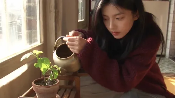 A Peaceful Late Morning with a 24-Year-Old Korean Woman in a Small Old Seoul Ap…