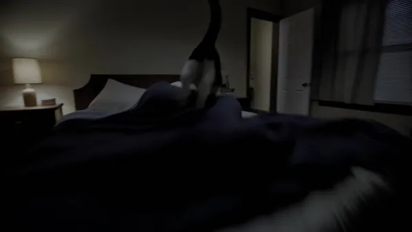 手持镜头一镜到底：跟随猫咪的夜晚冒险